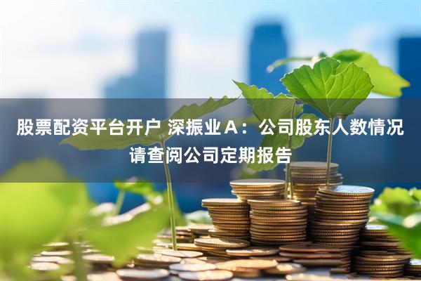 股票配资平台开户 深振业Ａ：公司股东人数情况请查阅公司定期报告