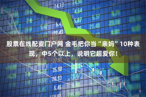 股票在线配资门户网 金毛把你当“亲妈”10种表现,中5个以上,说明它超爱你!
